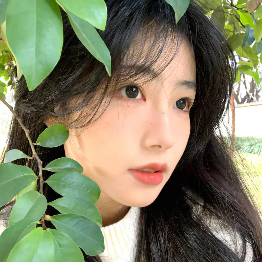 此生愿与君陌路